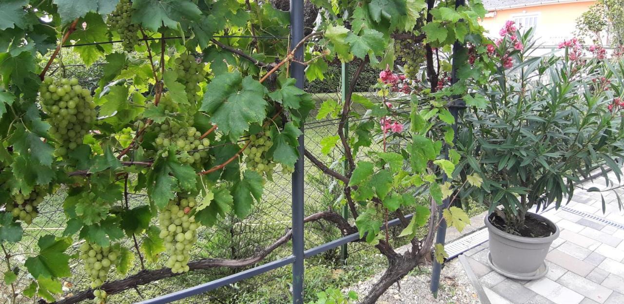 A Bringas Apartman Balatonfured Bagian luar foto